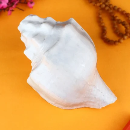 Original White Vishnu Vaahan Garuda Shankh (Conch Shell)